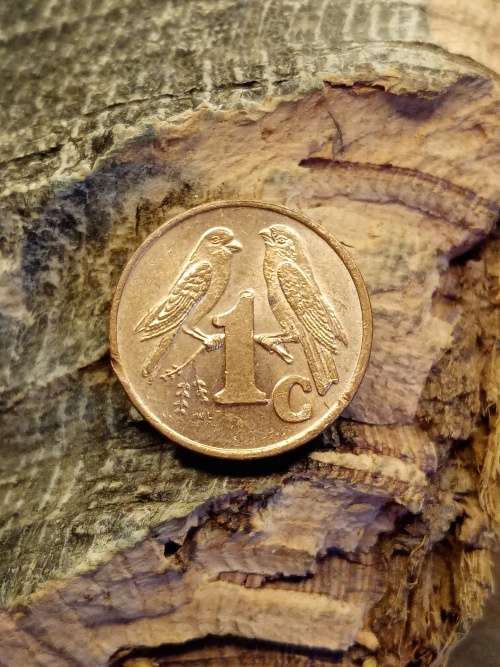 Isewula Afrika 1 cent 2000