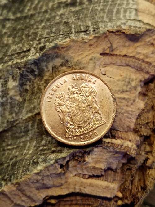 Isewula Afrika 1 cent 2000