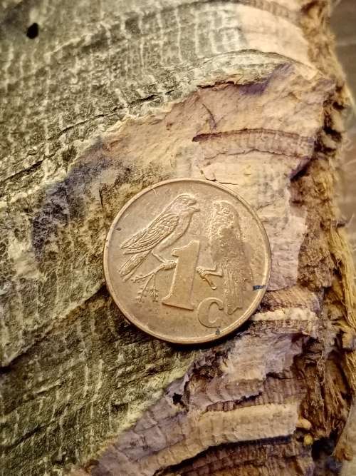 Isewula Afrika 2001 one cent