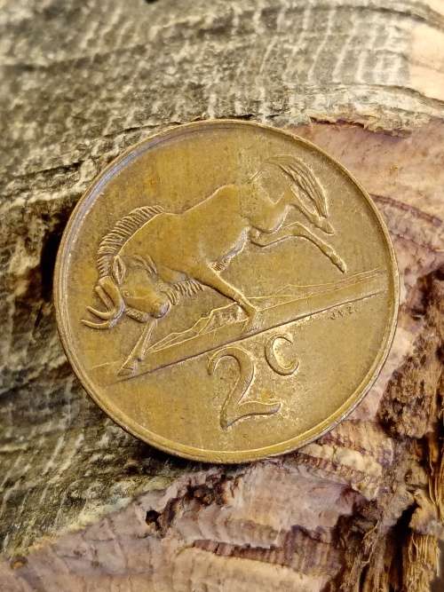 South Africa 1988 2 cent