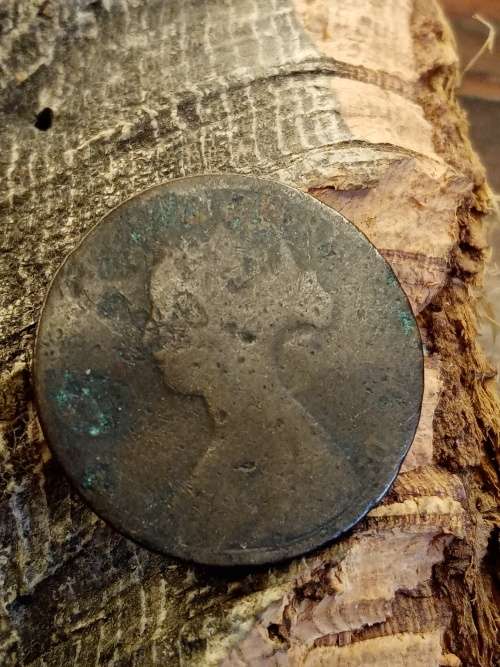 Coin