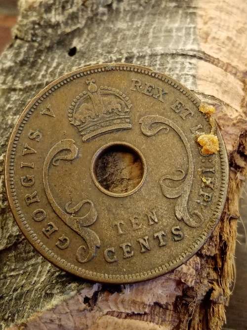 British East Africa 10 cents 1927