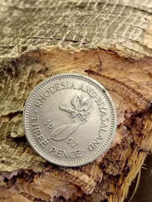 Rhodesia and Nyasaland threepence 1957