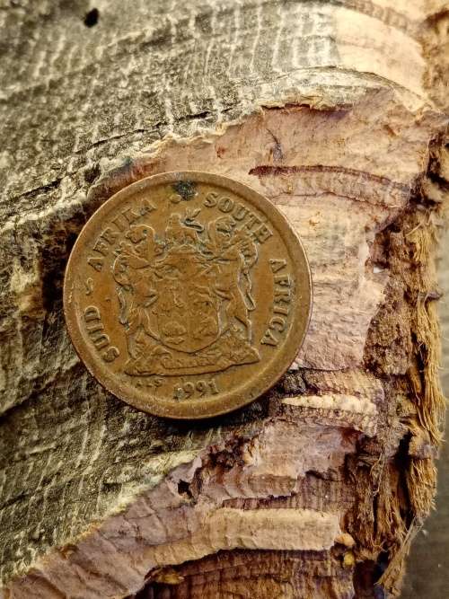 South Africa 2 cent 1991