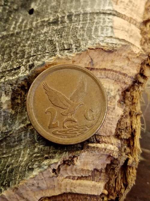 South Africa 1993 2 cent