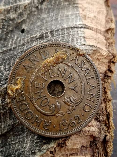 Rhodesia and Nyasaland one penny 1962