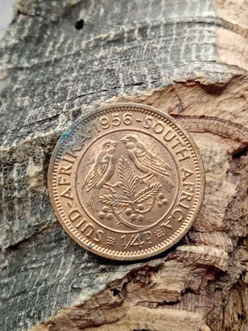 South Africa 1956 1/4 penny