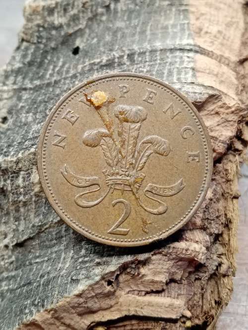 United Kingdom 1971 2 New pence