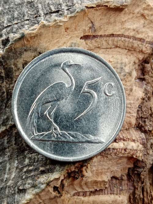 South Africa 1988 5 cent