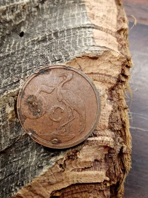 South Africa 5 cent 2003