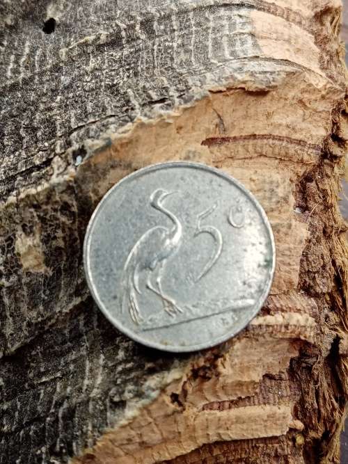 South Africa 5 cent 1883