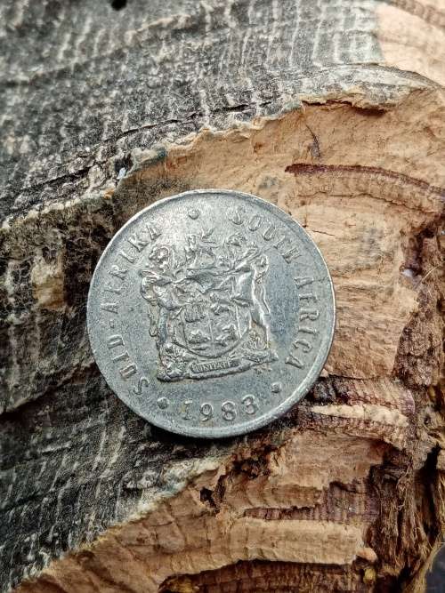 South Africa 5 cent 1883