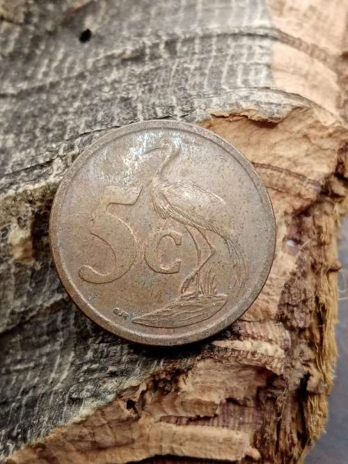 South Africa 5 cent 2008