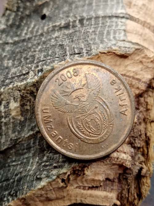 South Africa 5 cent 2008