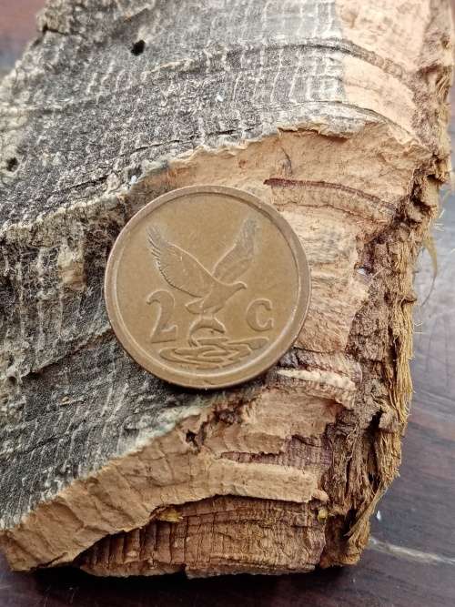 South Africa 1992 2 cent