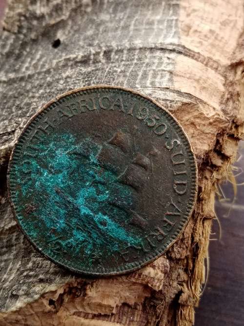 South Africa 1950 1/2 penny