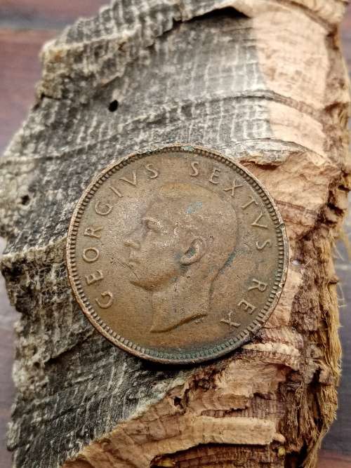 South Africa 1950 1/2 penny