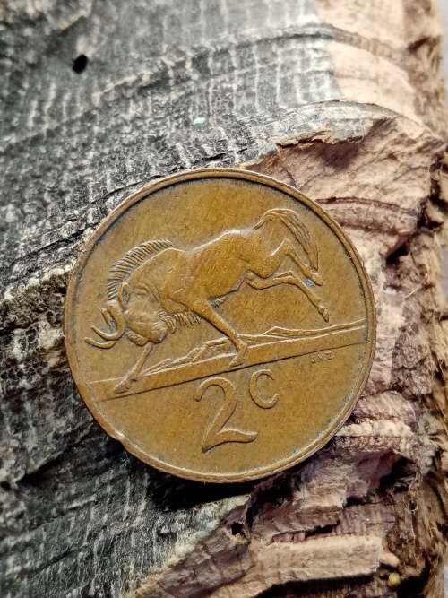 South Africa 1983 2 cent
