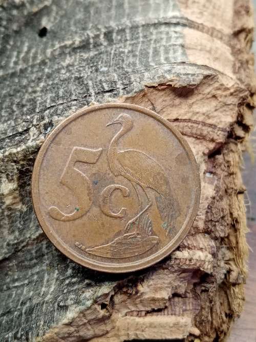South Africa 5 cent 2008