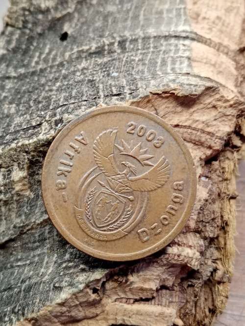 South Africa 5 cent 2008