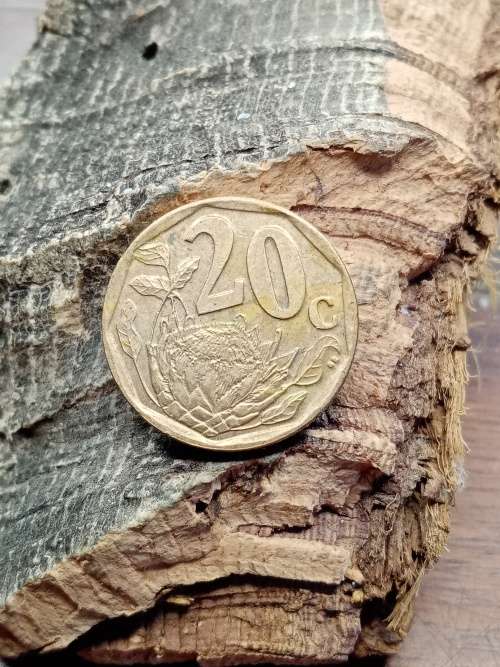 2005 20 cent South Africa