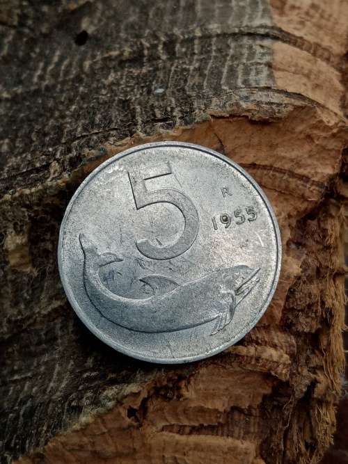 Italy 5 lire 1955