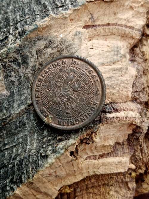 Netherlands 1/2 cent 1934