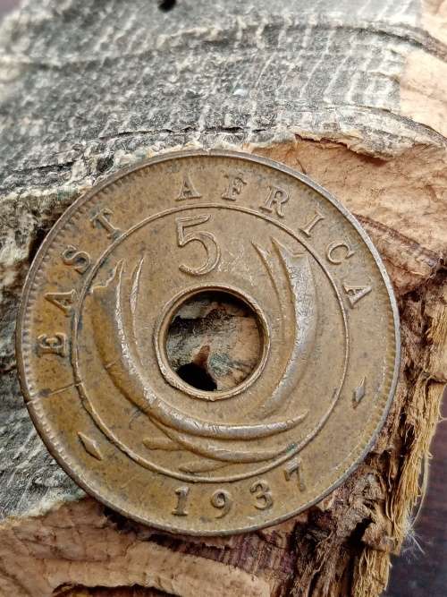 British East Africa 5 cents 1937