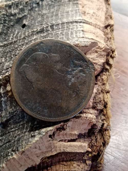 United Kingdom half penny 1891