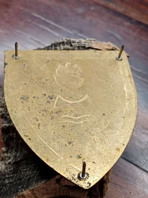 Metal Shoulder Flash