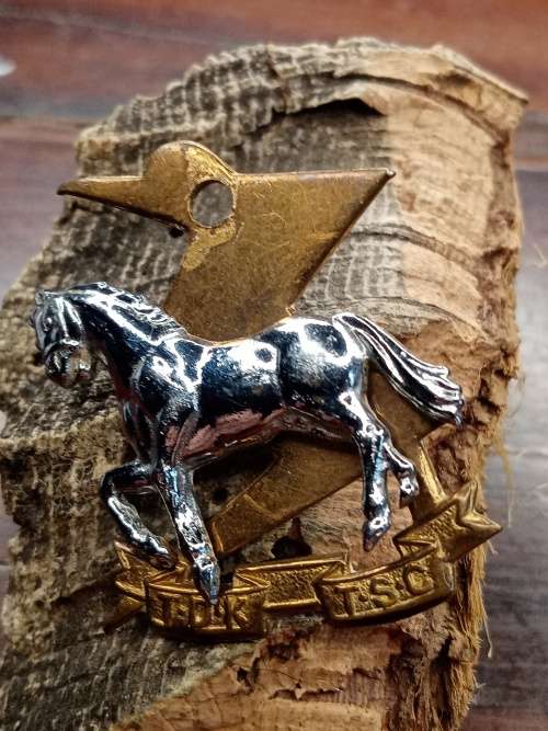 Badge