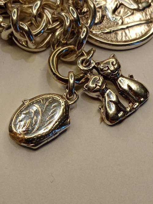 Sterling silver charm bracelet with 11 charms 21cm long