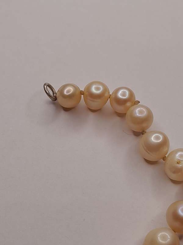 Pearl necklace 45cm long