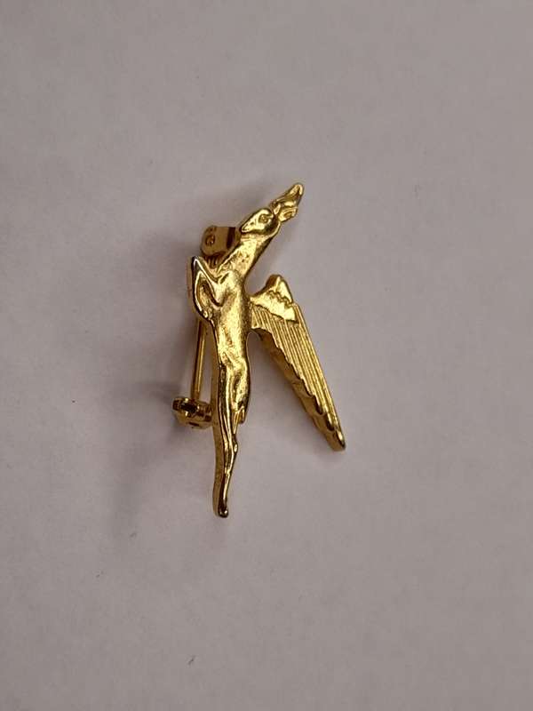 Flying SAA springbok badge