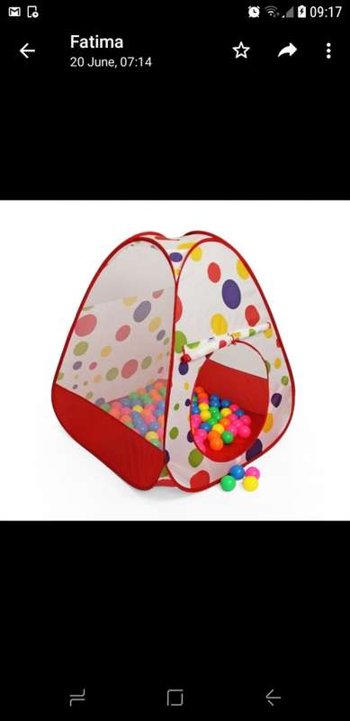 Jeronimo tent with 100 balls