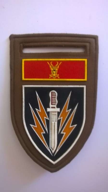 61 MECHANISED SHOULDER FLASH