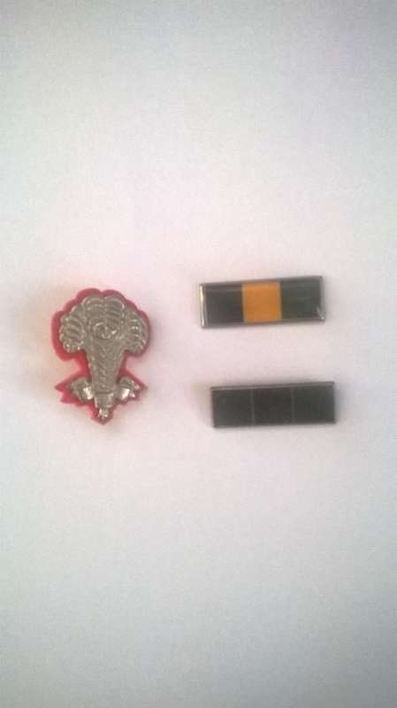 Beret Badges - 1SAI