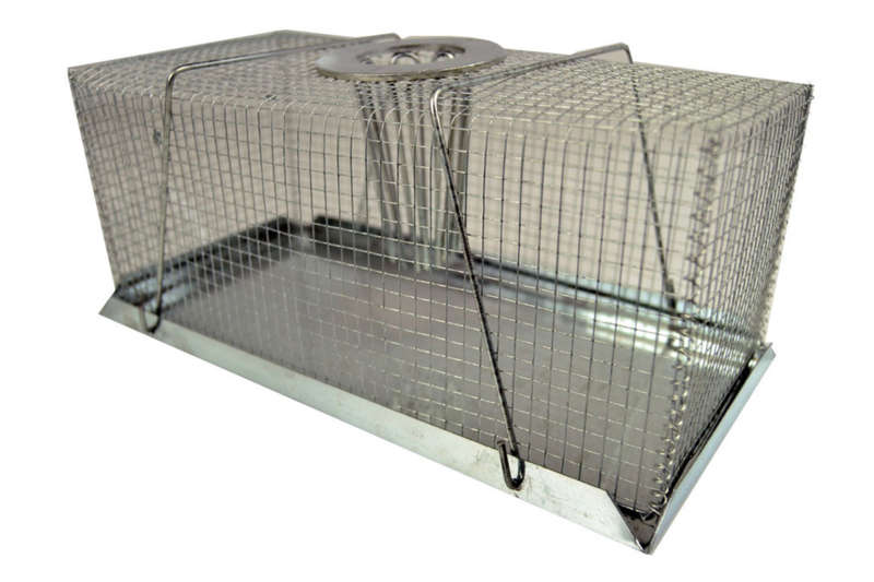 Humane Mouse Trap Top Hole  29.5cm x13cm x 15cm NO Harm