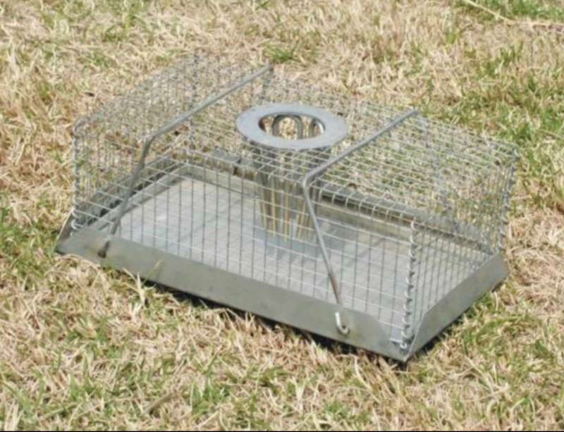 Humane Mouse Trap Top Hole  29.5cm x13cm x 15cm NO Harm