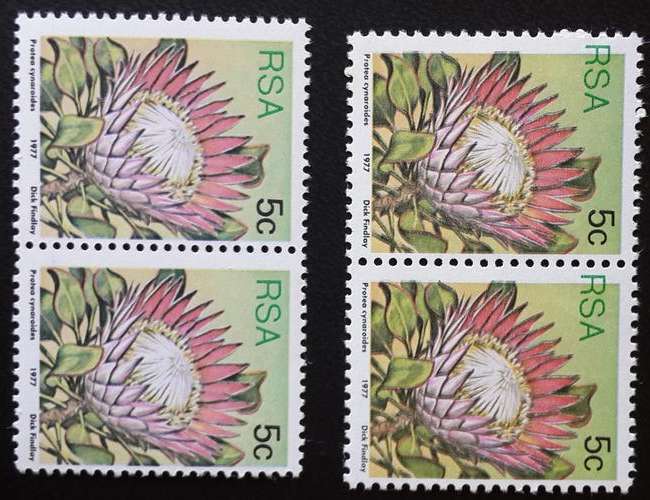 South Africa 1977 Scarce Protea Definitive 5c pair with Colour Shift Variety