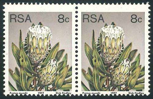 South Africa 1977 Protea Definitive 8c pair with Perforation Variety (**)