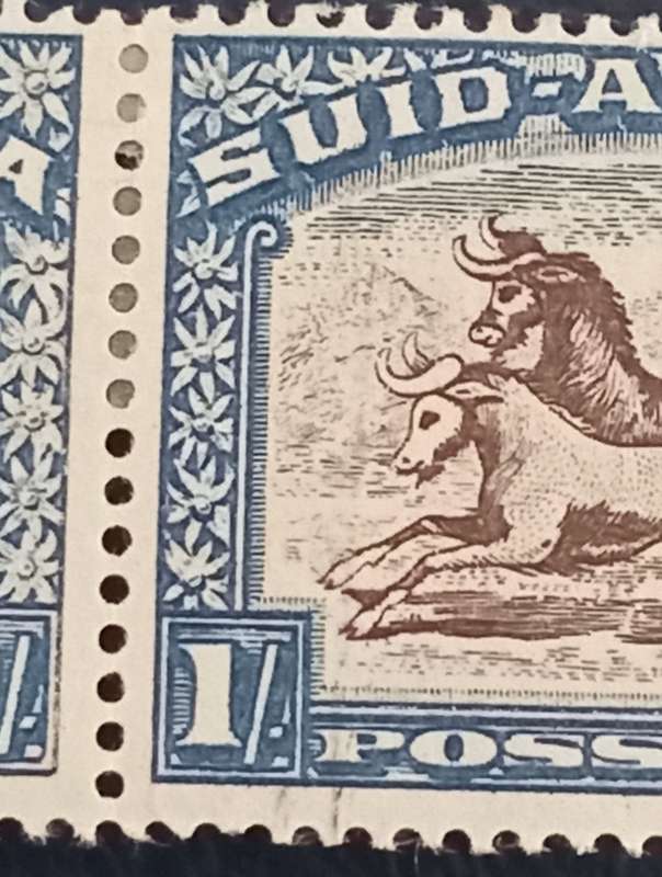 SA Union-1s Hyphenated Pictorial, Vertical line vissible on 2nd stamp.