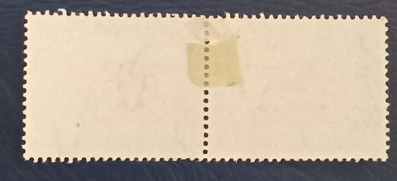 SA Union-1s Hyphenated Pictorial, Vertical line vissible on 2nd stamp.