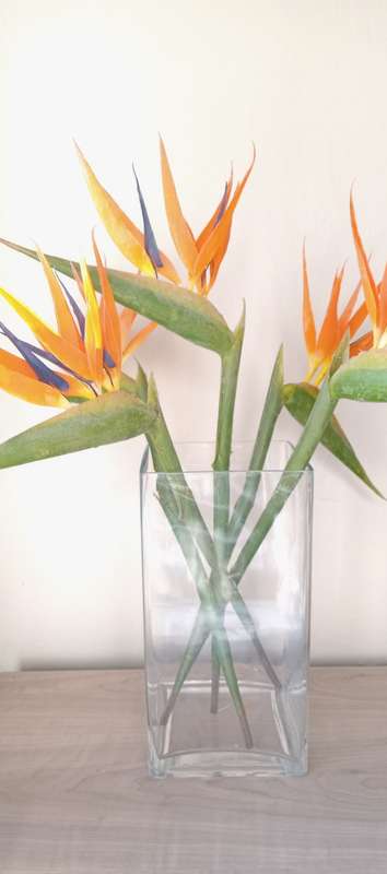 Tall Square Glass Vase 30cm High