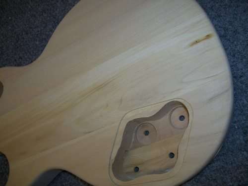 DIY Electric Guitar Kit Singlecut P90 Build Your Own Guitar Kit