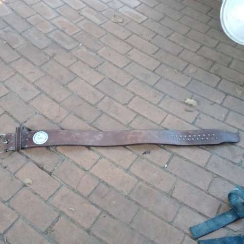 13mm leather Pioneer Powerlifting belt (Pioneer made hafthor bjornsons record deadlift 501kg belt)