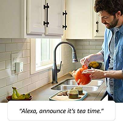 Echo Flex Plug-in Smart Speaker with Alexa