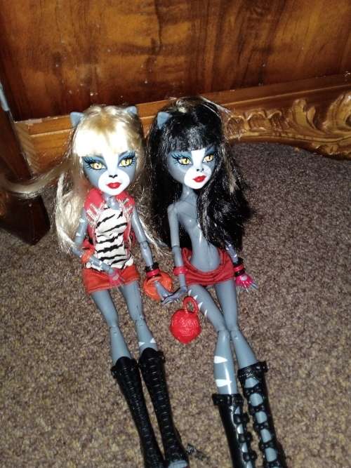 Monstee High: Twin Wearcats