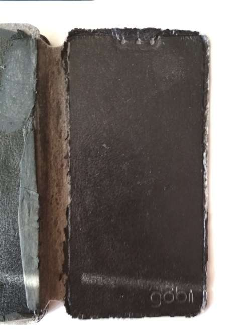 Gobii Smart Phone IVP