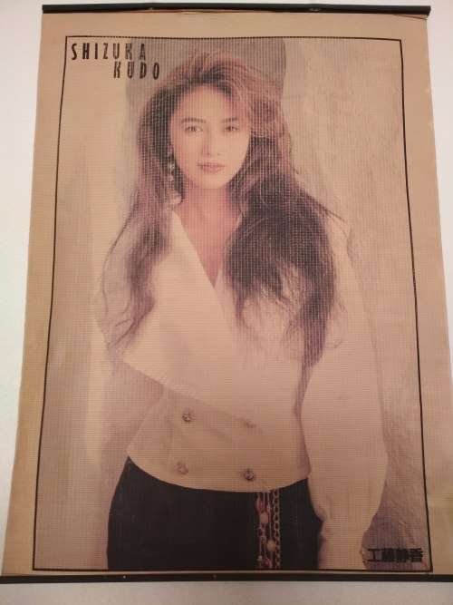 Shizuka Kudo (Japanese Singer Pop Idol) Wall Scroll (Rare)